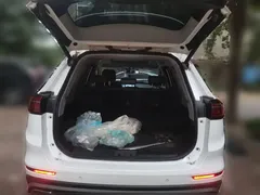 2022 Chery Tiggo 8 Pro 290TGDI DCT, белый — фото 20