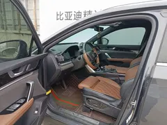2021 BYD Tang DM-i PHEV 112km Premium — фото 6