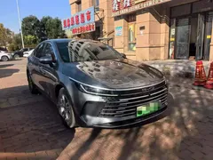 2023 BYD Destroyer 05 Champion DM-i PHEV 120KM Premium — фото 1