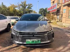 2023 BYD Destroyer 05 Champion DM-i PHEV 120KM Premium — фото 2