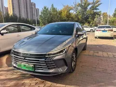 2023 BYD Destroyer 05 Champion DM-i PHEV 120KM Premium — фото 8