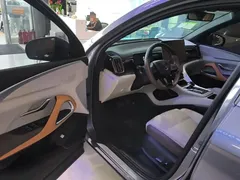 2023 BYD Song Pro Champion DM-i PHEV 110KM Excellence — фото 16