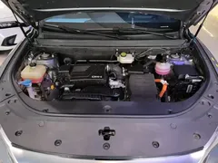 2023 BYD Song Pro Champion DM-i PHEV 110KM Excellence — фото 20