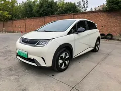 2024 BYD Dolphin Glory 420km Freedom, белый — фото 1