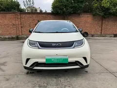 2024 BYD Dolphin Glory 420km Freedom, белый — фото 2
