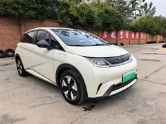 2024 BYD Dolphin Glory 420km Freedom, белый — фото 3