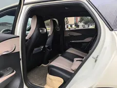 2024 BYD Dolphin Glory 420km Freedom, белый — фото 6
