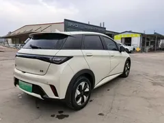 2024 BYD Dolphin Glory 420km Freedom, белый — фото 8