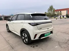 2024 BYD Dolphin Glory 420km Freedom, белый — фото 10