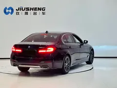 2021 BMW 5 Series 525Li M Sport Package, чёрный — фото 8
