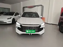 2023 BYD Song Pro Champion DM-i PHEV 71km Exceed, белый — фото 3