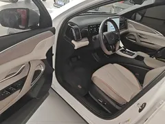 2023 BYD Song Pro Champion DM-i PHEV 71km Exceed, белый — фото 16