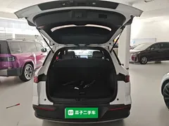 2023 BYD Song Pro Champion DM-i PHEV 71km Exceed, белый — фото 19