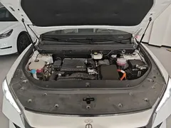 2023 BYD Song Pro Champion DM-i PHEV 71km Exceed, белый — фото 20