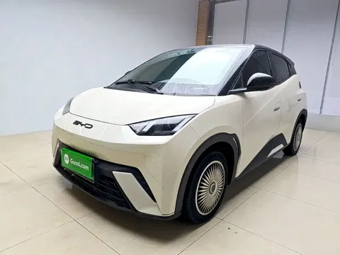 2024 BYD Seagull Honor 305km Vitality