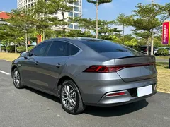 2023 BYD Qin PLUS Champion EV 420km — фото 7