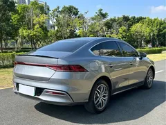 2023 BYD Qin PLUS Champion EV 420km — фото 9