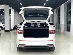 2023 Volkswagen Golf 280TSI DSG Pro 20th Anniversary, белый — фото 16