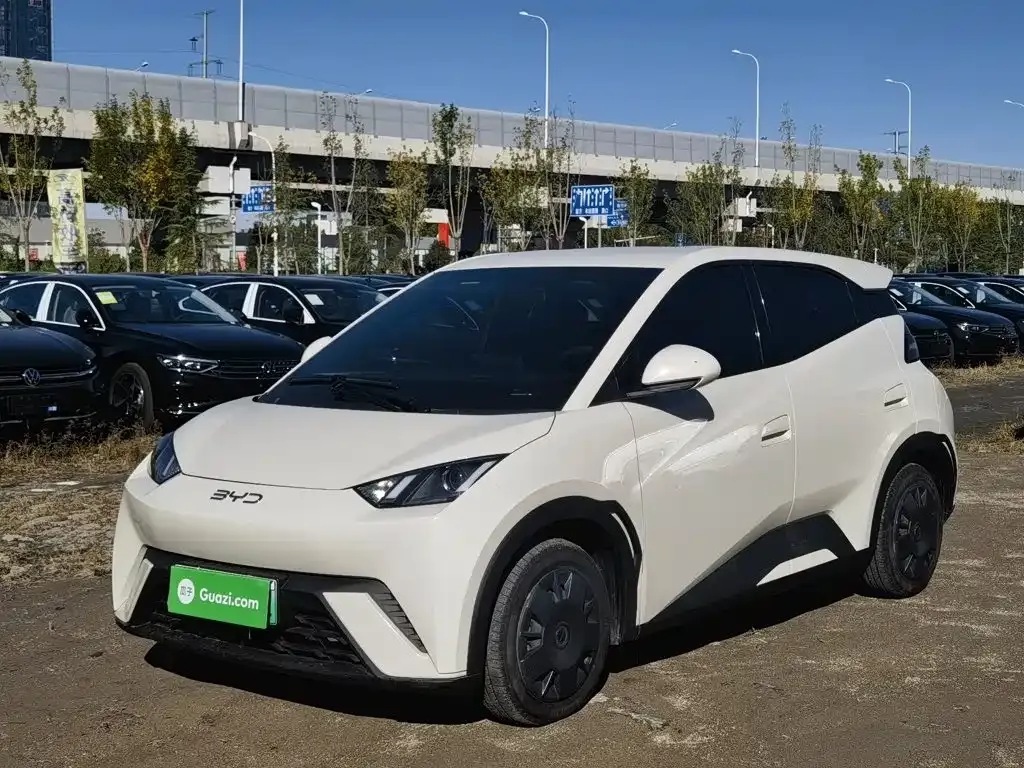 2025 BYD Seagull 305km Vitality