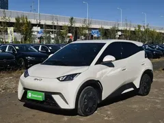 2025 BYD Seagull 305km Vitality, белый — фото 2