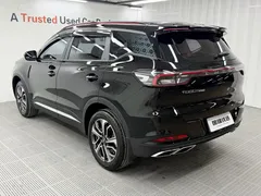 2023 Chery Tiggo 7 Pro Champion 1.5TCI CVT Luxury, чёрный — фото 6