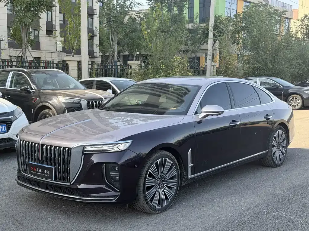 2025 Hongqi H9 2.0T 2WD Qichang Luxury Business 5-seat