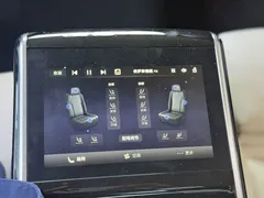 2025 Hongqi H9 2.0T 2WD Qichang Luxury Business 5-seat — фото 15