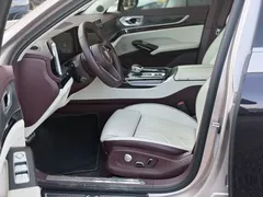 2025 Hongqi H9 2.0T 2WD Qichang Luxury Business 5-seat — фото 16