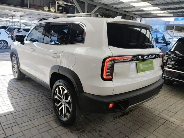 2021 Haval Dargo 1.5T DCT 2WD Border Collie