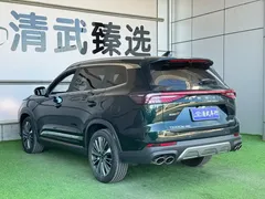 2024 Chery Tiggo 8 Pro Champion 390T 2WD Ultimate 5-seat, зелёный — фото 12