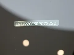 2024 Zeekr 009, чёрный — фото 9