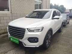 2021 Haval H6 1.5GDIT AT Luxury, белый — фото 2
