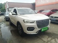 2021 Haval H6 1.5GDIT AT Luxury, белый — фото 4