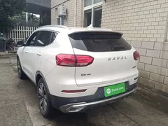 2021 Haval H6 1.5GDIT AT Luxury, белый — фото 5