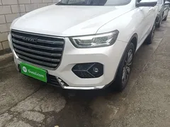 2021 Haval H6 1.5GDIT AT Luxury, белый — фото 24