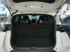2025 BYD Seagull 305km Vitality, белый — фото 19