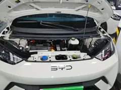 2025 BYD Seagull 305km Vitality, белый — фото 20