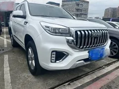 2022 Haval H9 2.0T Petrol 4WD Luxury 7-seat, белый — фото 3