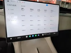 2025 Xiaomi YU7 RWD Long Range — фото 13