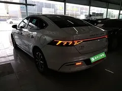 2024 BYD Qin PLUS Honor DM-i PHEV 55km Leading, белый — фото 5