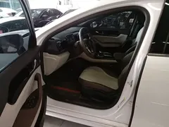 2024 BYD Qin PLUS Honor DM-i PHEV 55km Leading, белый — фото 16