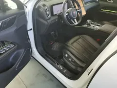 2023 Hongqi HS3 2.0T 4WD Youwei, белый — фото 16