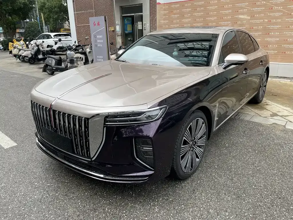 2025 Hongqi H9 2.0T 2WD Qixiang Luxury Business 5