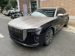 2025 Hongqi H9 2.0T 2WD Qixiang Luxury Business 5 — фото 1