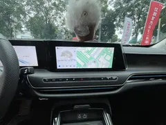 2025 Hongqi H9 2.0T 2WD Qixiang Luxury Business 5 — фото 11