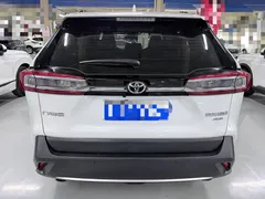 2023 Toyota Wildlander 2.0L CVT 4WD Luxury Plus, белый — фото 20