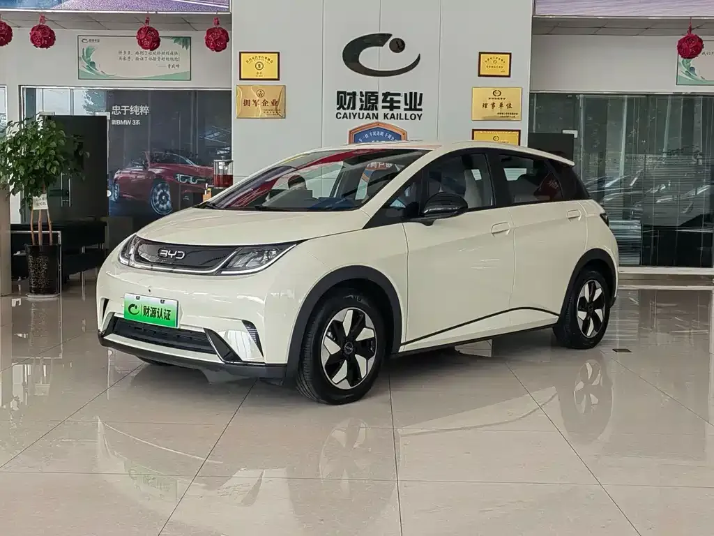 2025 BYD Dolphin 420km Freedom