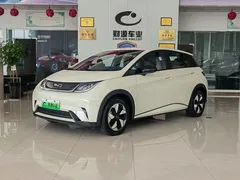 2025 BYD Dolphin 420km Freedom — фото 1