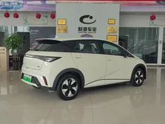 2025 BYD Dolphin 420km Freedom — фото 3