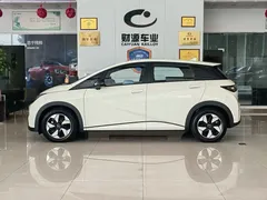 2025 BYD Dolphin 420km Freedom — фото 4